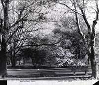 Photo only available in the library
